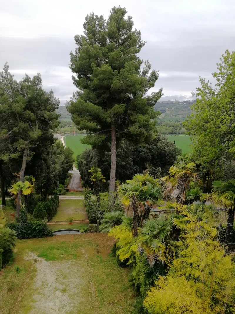 La vista sul parco dalle finestre della Suite al secondo piano