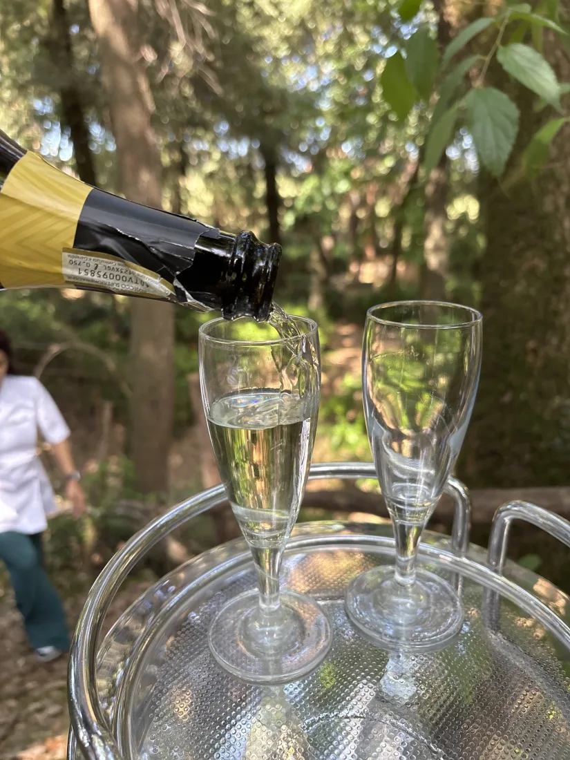 Angolo del vialetto dell'Amore fra gli alberi secolari del parco della dimora