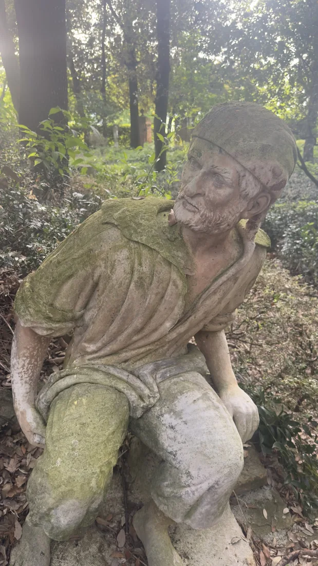 Dettaglio della campagna marchigiana con campi coltivati e cielo estivo limpido