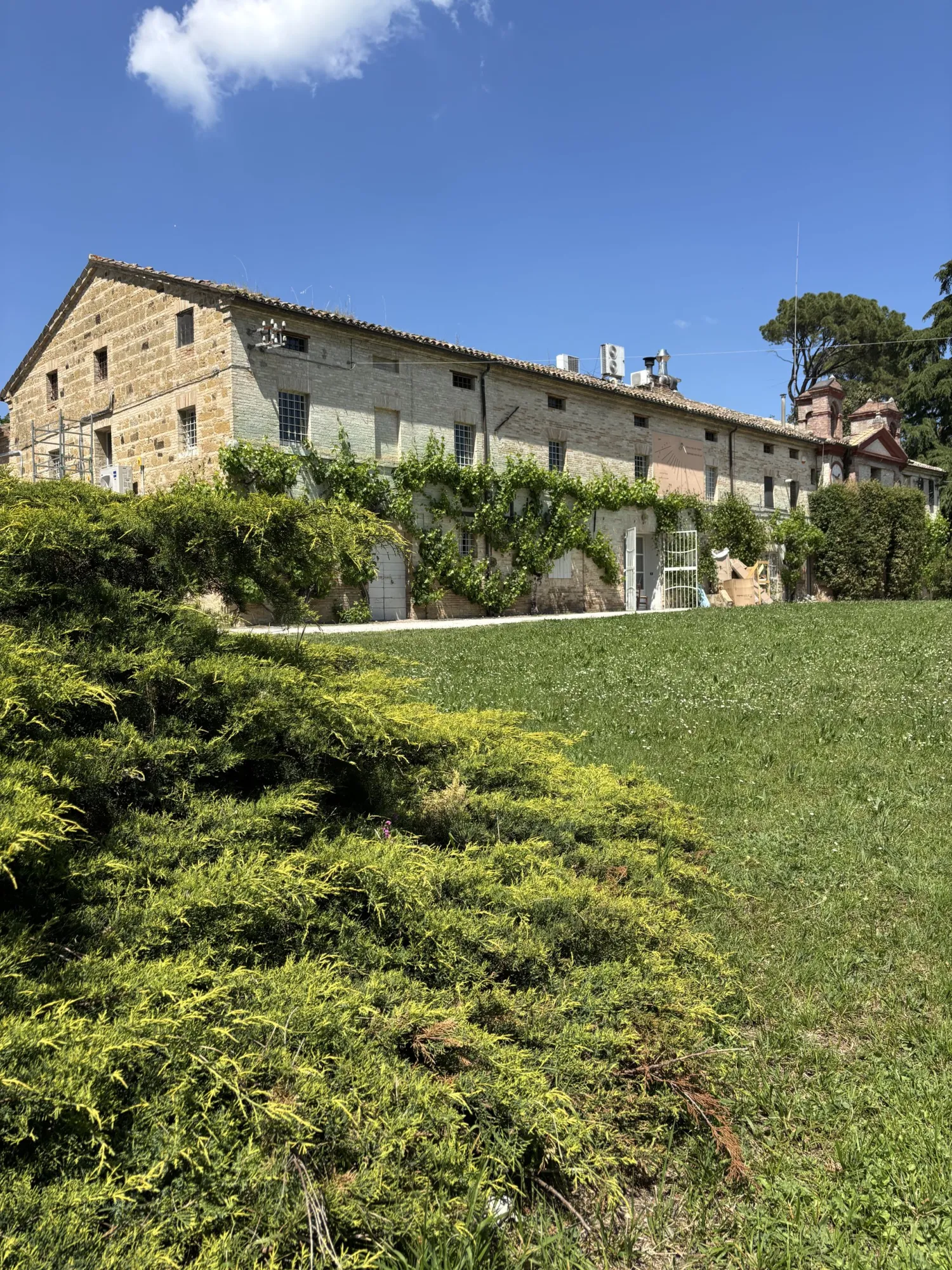 Un'ala in pietra di Villa Luzi affacciata su un prato in pendio con siepe di ginepro, nella campagna di Treia